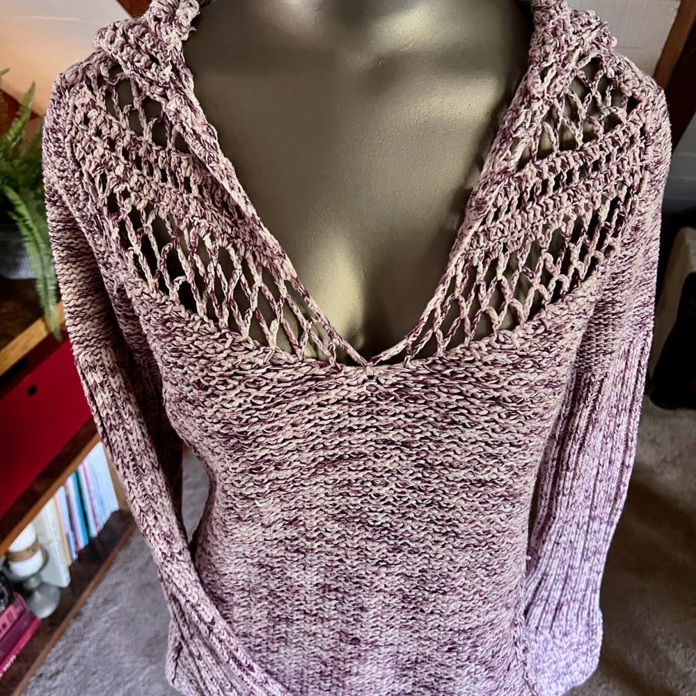 Express | Variegated Pink Sweater with Hood